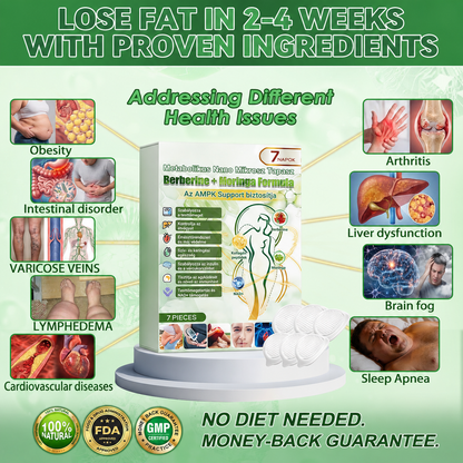 🔥 Metabolic Nano Patch – Once-Daily Support for Cravings, Energy & Body Balance- DW