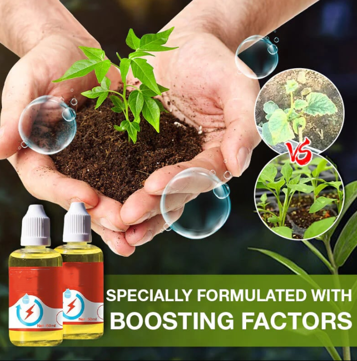 💥This Week Promotion 49% OFF💥 Plant Growth Enhancer Supplement-Q1