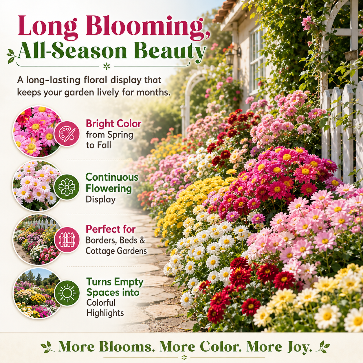 🌼 Summer Pyrethrum Insect-Repellent Seeds – Grow Colorful Flowers That Repel Mosquitoes, Flies & Garden Pests 🦟✨-DW