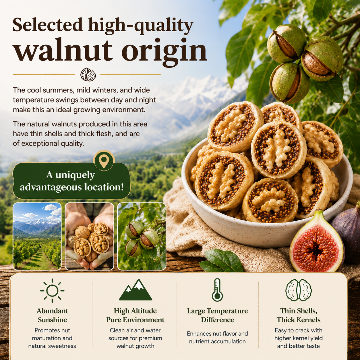 🌰Sugar-Free Fig Stuffed Walnuts — Naturally Sweet, Guilt‑Free, and Packed with Crunch-Q1
