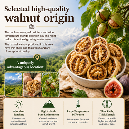 🌰Sugar-Free Fig Stuffed Walnuts — Naturally Sweet, Guilt‑Free, and Packed with Crunch-Q1