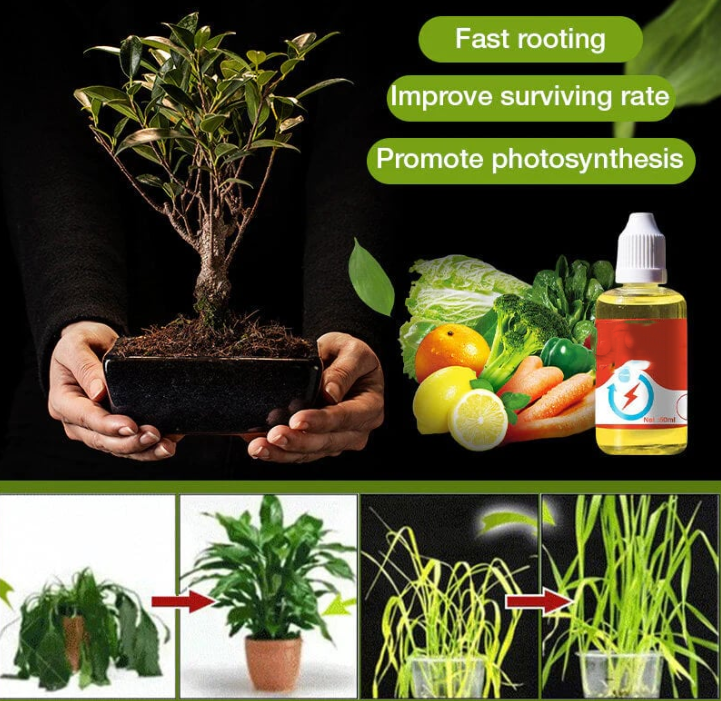 💥This Week Promotion 49% OFF💥 Plant Growth Enhancer Supplement-Q1