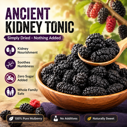 🌱 Sugar‑Free Mulberry Dried Fruit — Supports Kidney Health, Soothes Numbness, Safe for the Whole Family-Q1