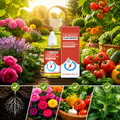 💥This Week Promotion 49% OFF💥 Plant Growth Enhancer Supplement-Q1