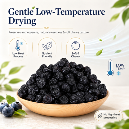 🫐 Natural Dried Blueberries — Daily Eye Care for Seniors. Sugar‑Free, High Fiber, Soft & Chewy!-Q1