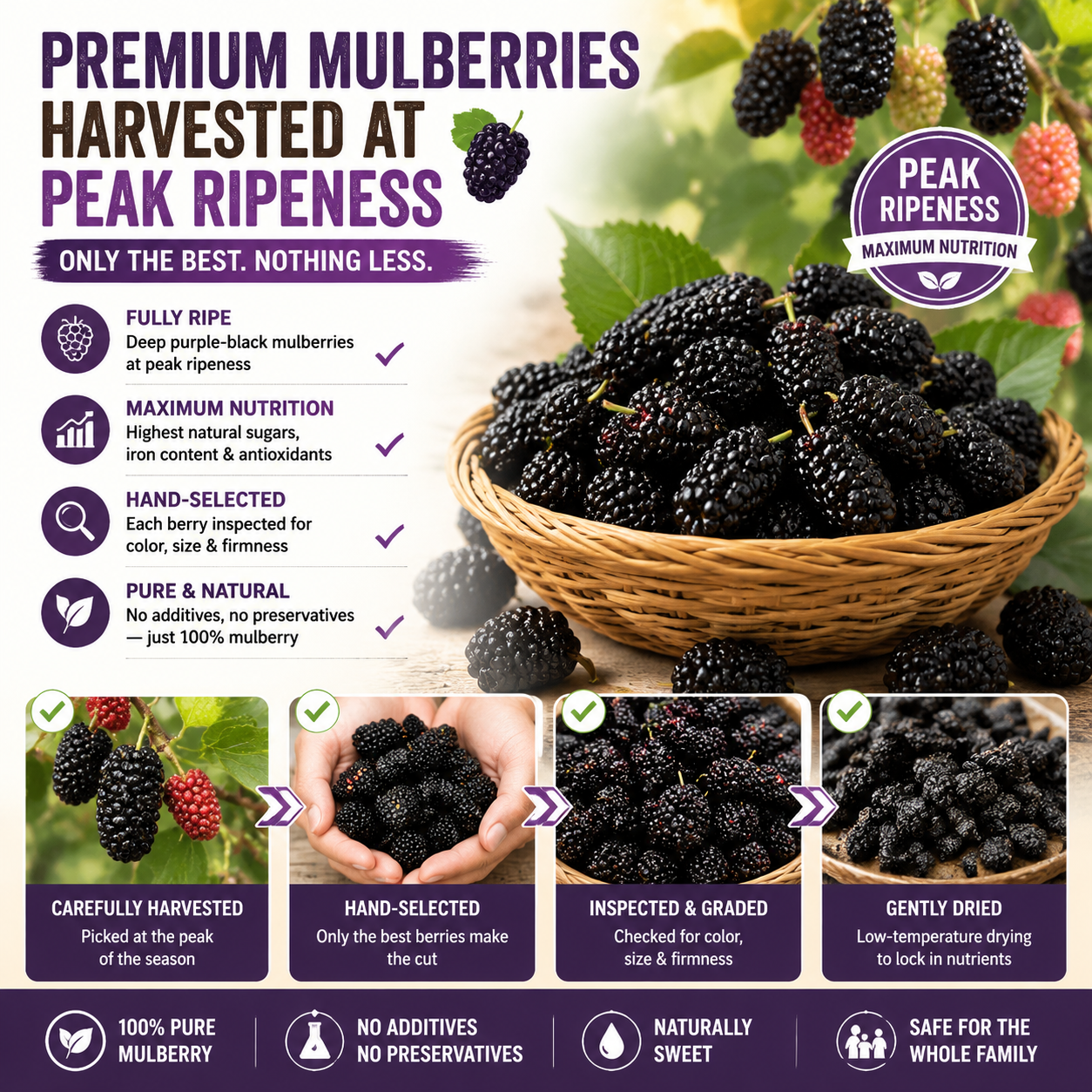 🌱 Sugar‑Free Mulberry Dried Fruit — Supports Kidney Health, Soothes Numbness, Safe for the Whole Family-Q1