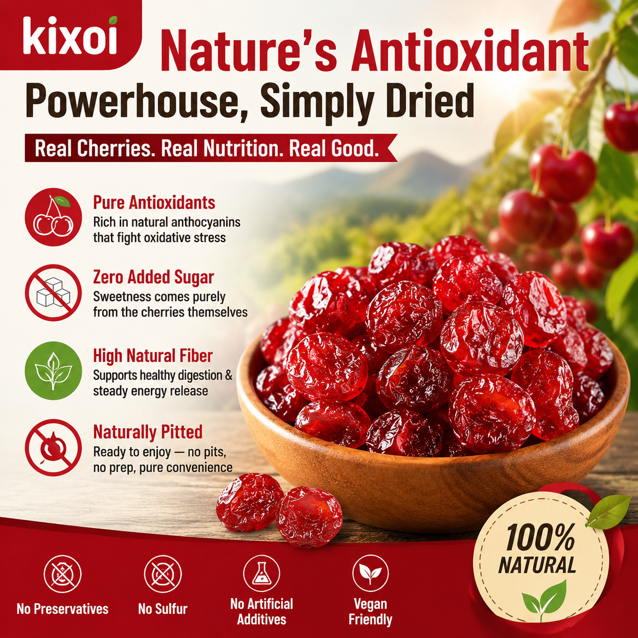 🍒 Natural Pitted Dried Cherries — High Fiber, Zero Sugar, Pure Antioxidant Goodness-Q1