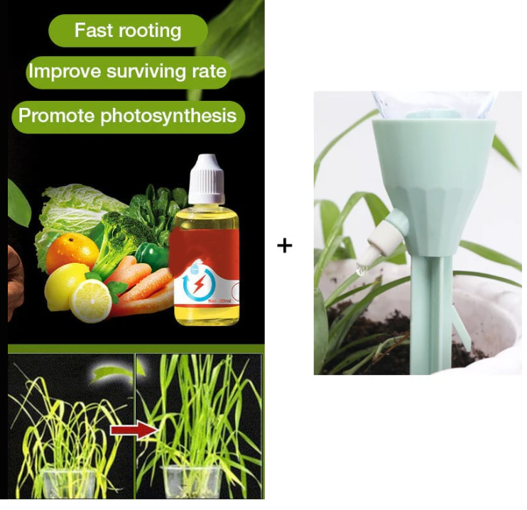 💥This Week Promotion 49% OFF💥 Plant Growth Enhancer Supplement-Q1