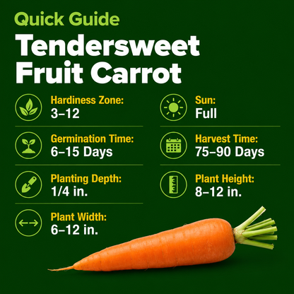 🥕 Sweet Crunch Carrot Seeds – Four-Season Planting for Crisp, Juicy Homegrown Carrots 🌱✨-DW