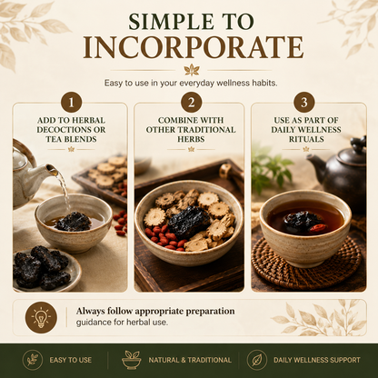 9X Prepared Rehmannia Root 🌿 – Traditional Herbal Tonic ✨ for Daily Wellness Balance-QR