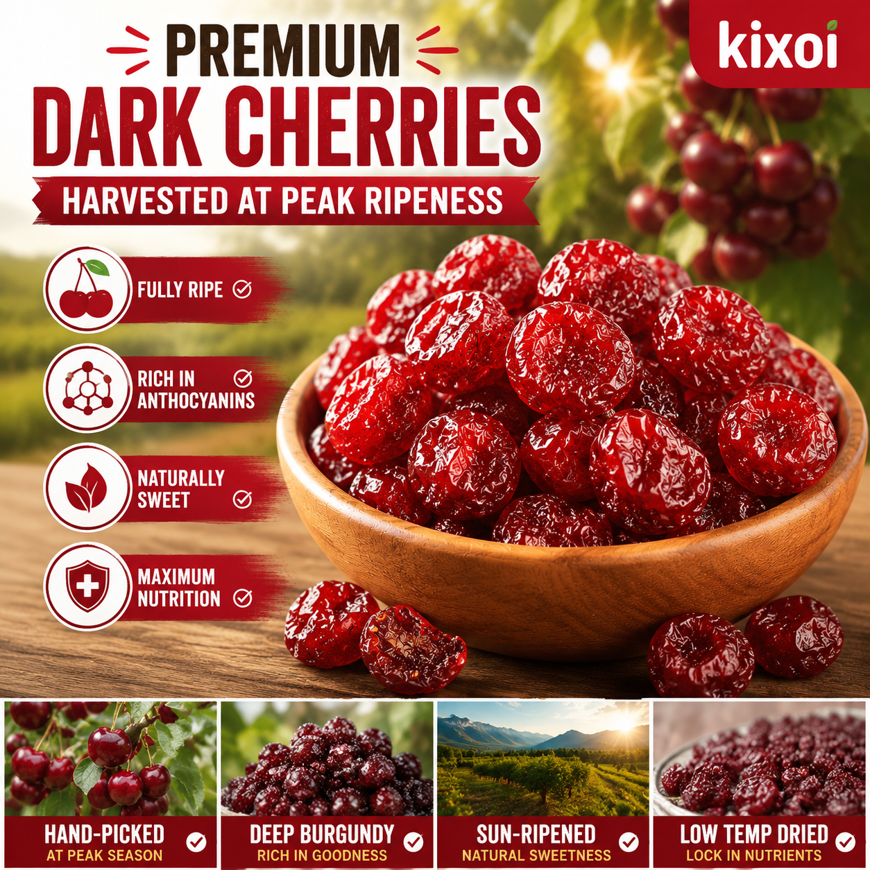 🍒 Natural Pitted Dried Cherries — High Fiber, Zero Sugar, Pure Antioxidant Goodness-Q1