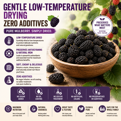 🌱 Sugar‑Free Mulberry Dried Fruit — Supports Kidney Health, Soothes Numbness, Safe for the Whole Family-Q1