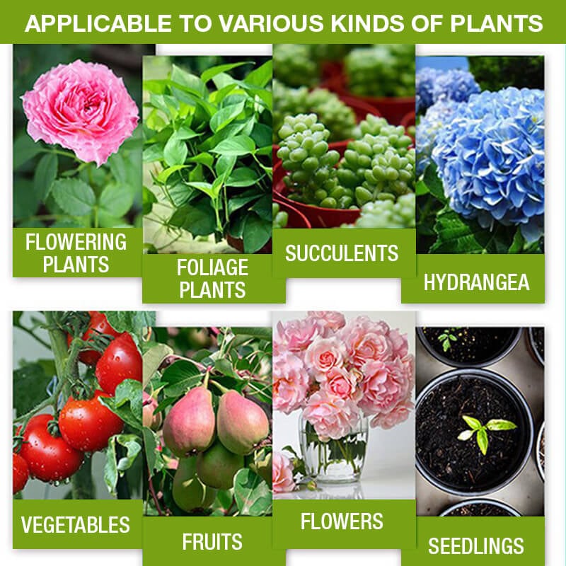 💥This Week Promotion 49% OFF💥 Plant Growth Enhancer Supplement-Q1