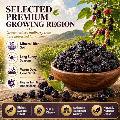 🌱 Sugar‑Free Mulberry Dried Fruit — Supports Kidney Health, Soothes Numbness, Safe for the Whole Family-Q1
