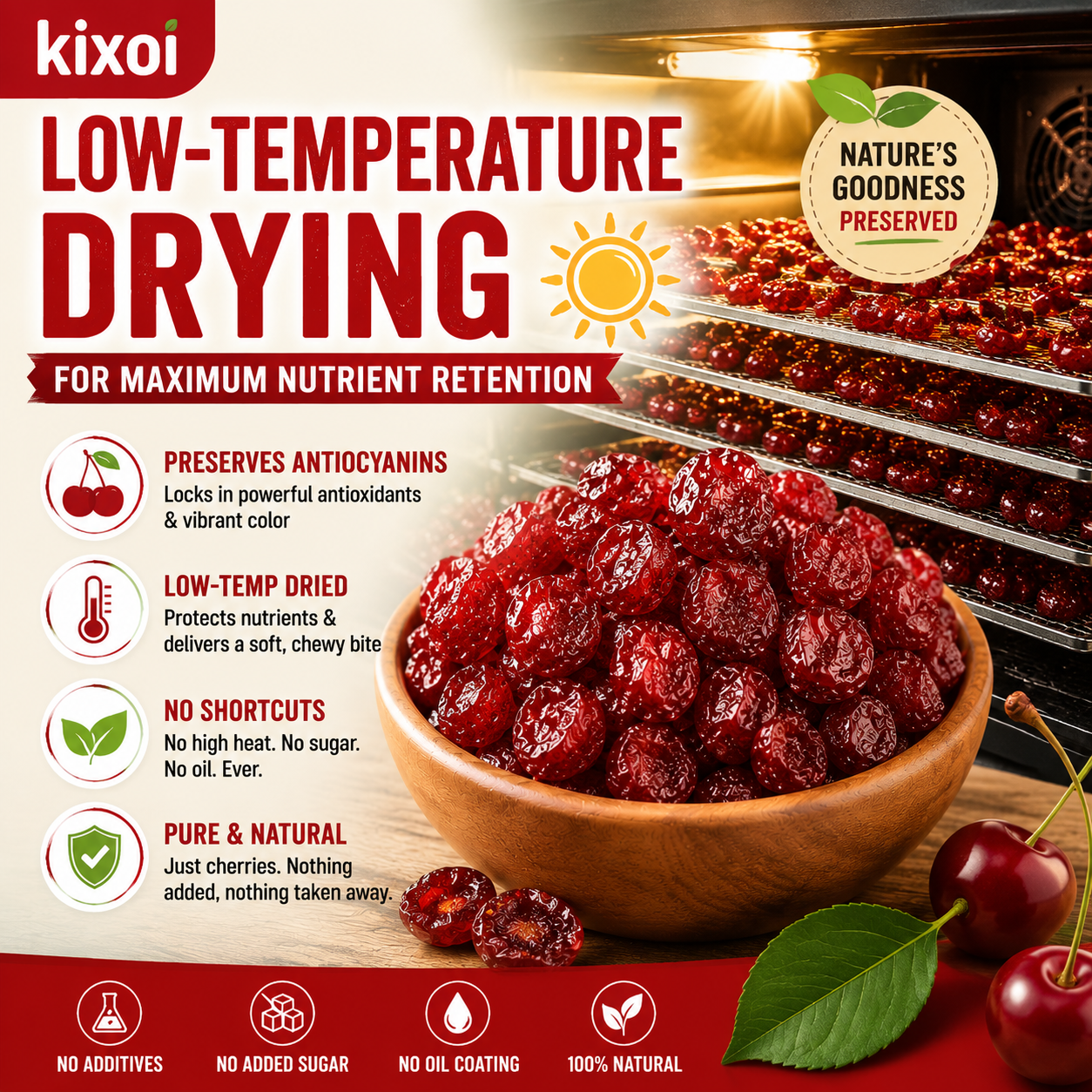 🍒 Natural Pitted Dried Cherries — High Fiber, Zero Sugar, Pure Antioxidant Goodness-Q1