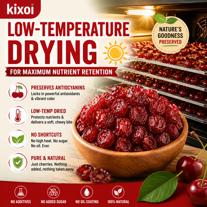 🍒 Natural Pitted Dried Cherries — High Fiber, Zero Sugar, Pure Antioxidant Goodness-Q1