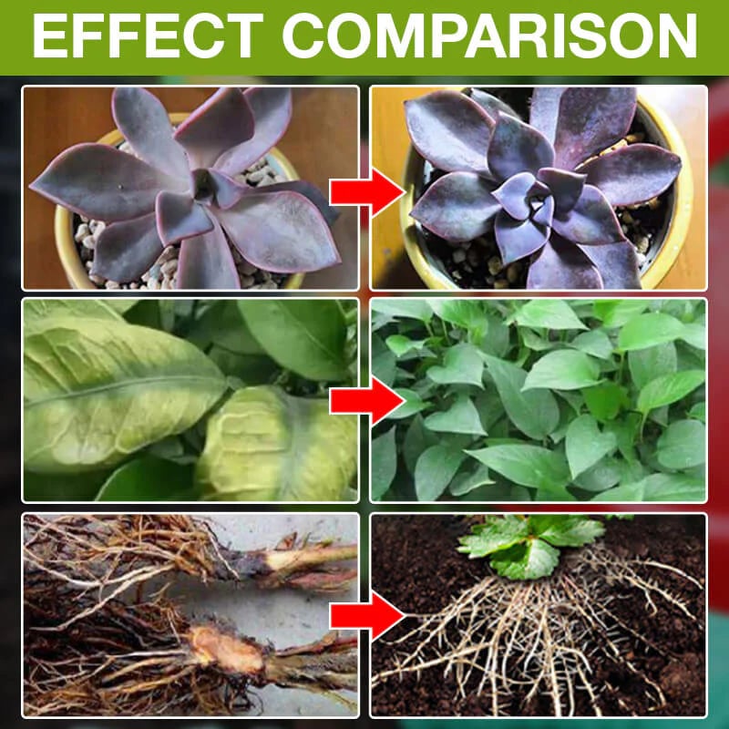 💥This Week Promotion 49% OFF💥 Plant Growth Enhancer Supplement-Q1