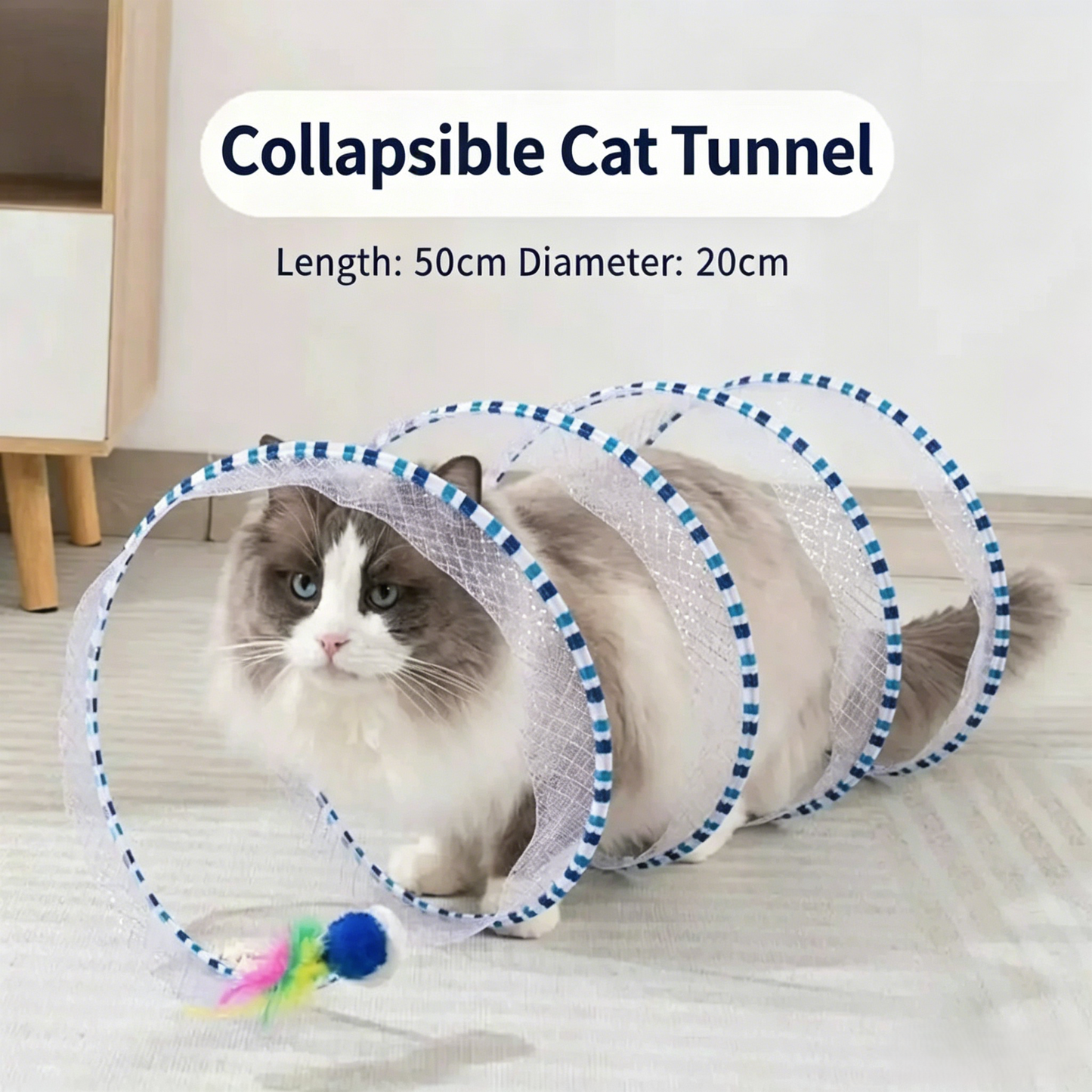 🐱 Rainbow Cat Hunting Tunnel Toy Set - DW