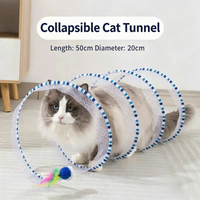 Blue Rainbow Tunnel + Feather + Mouse