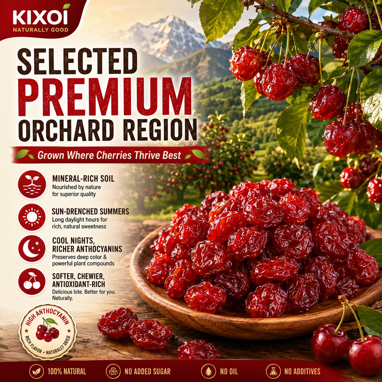 🍒 Natural Pitted Dried Cherries — High Fiber, Zero Sugar, Pure Antioxidant Goodness-Q1