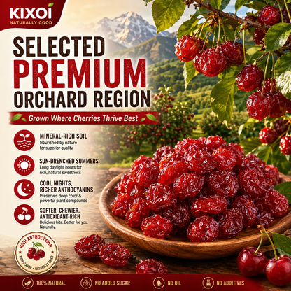 🍒 Natural Pitted Dried Cherries — High Fiber, Zero Sugar, Pure Antioxidant Goodness-Q1