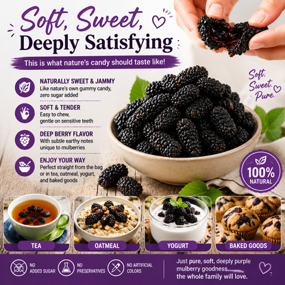 🌱 Sugar‑Free Mulberry Dried Fruit — Supports Kidney Health, Soothes Numbness, Safe for the Whole Family-Q1