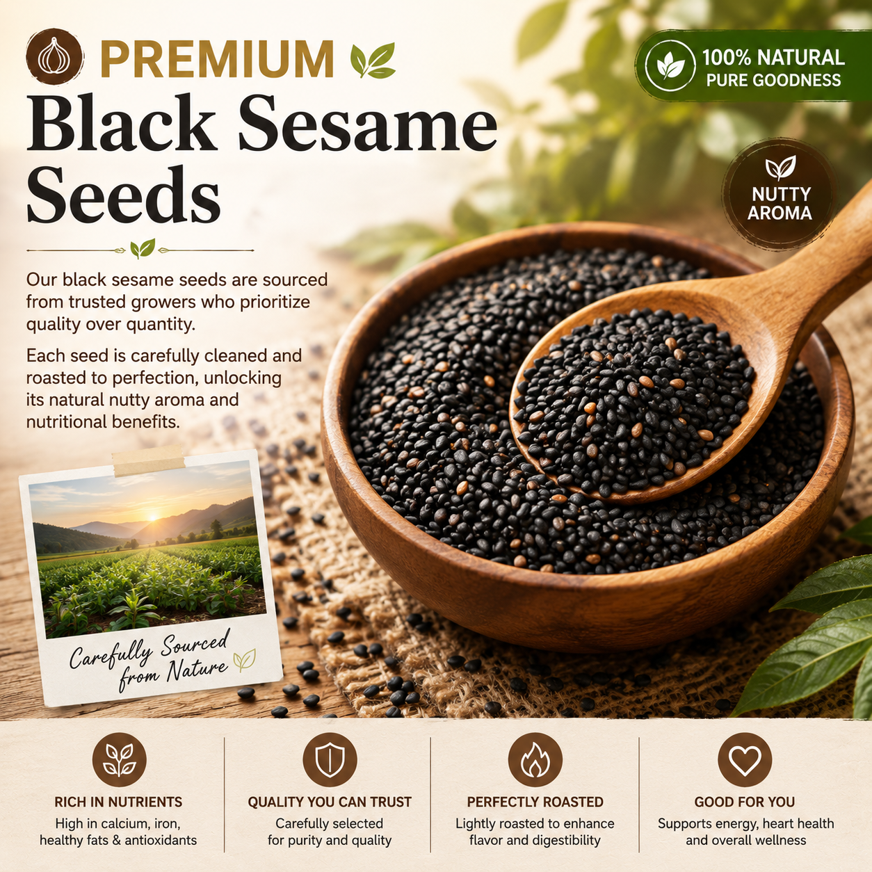 Black Sesame 🌿 Fig Pie 🥧 – Naturally Crafted & Wholesome Snack-QR