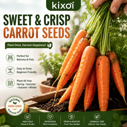 🥕 Sweet & Crunchy Carrot Seeds – Grow Your Own Garden-to-Table Harvest-QE