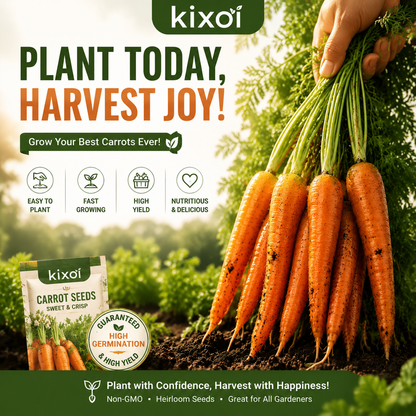 🥕 Sweet & Crunchy Carrot Seeds – Grow Your Own Garden-to-Table Harvest-QE