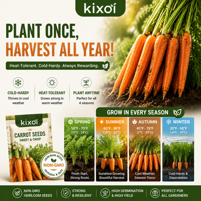 🥕 Sweet & Crunchy Carrot Seeds – Grow Your Own Garden-to-Table Harvest-QE