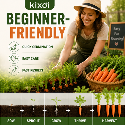 🥕 Sweet & Crunchy Carrot Seeds – Grow Your Own Garden-to-Table Harvest-QE