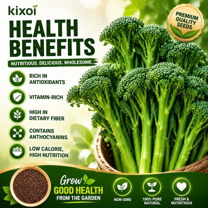 🌱 Broccolini Seeds – Sweet, Tender & High-Yielding-QE