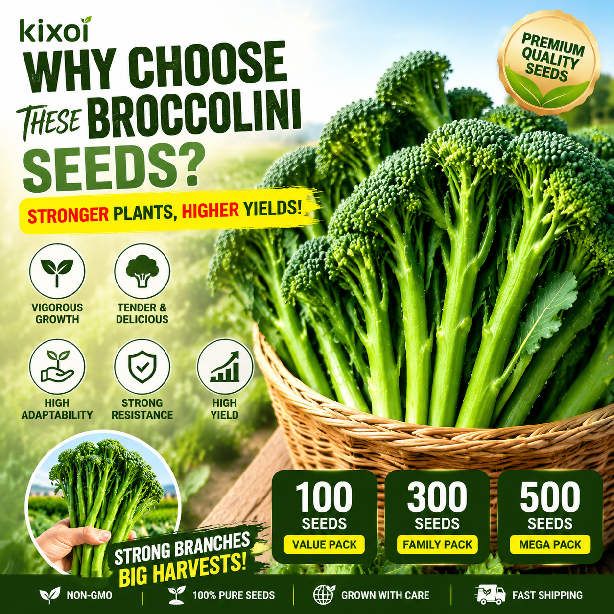 🌱 Broccolini Seeds – Sweet, Tender & High-Yielding-QE