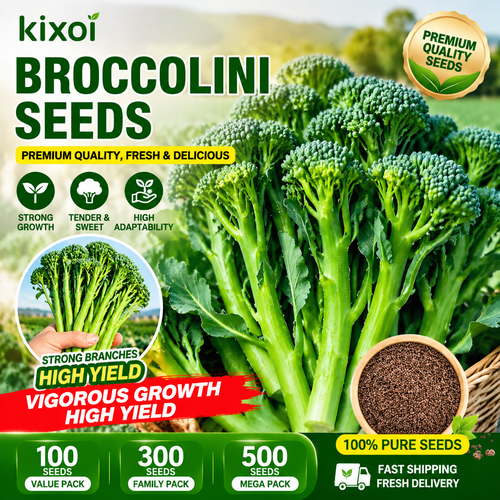🌱 Broccolini Seeds – Sweet, Tender & High-Yielding-QE