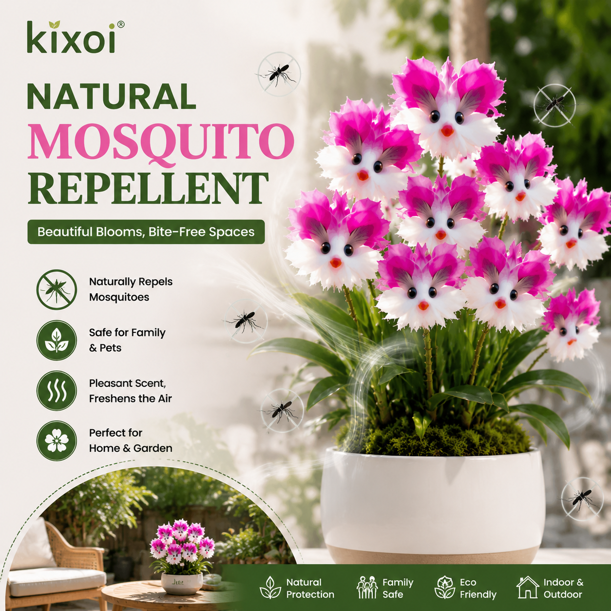 🌸 Colorful “Cat Face” Orchid Seeds – Fragrant, Air‑Purifying & Mosquito‑Repellent-QE