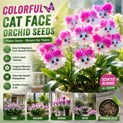 🌸 Colorful “Cat Face” Orchid Seeds – Fragrant, Air‑Purifying & Mosquito‑Repellent-QE