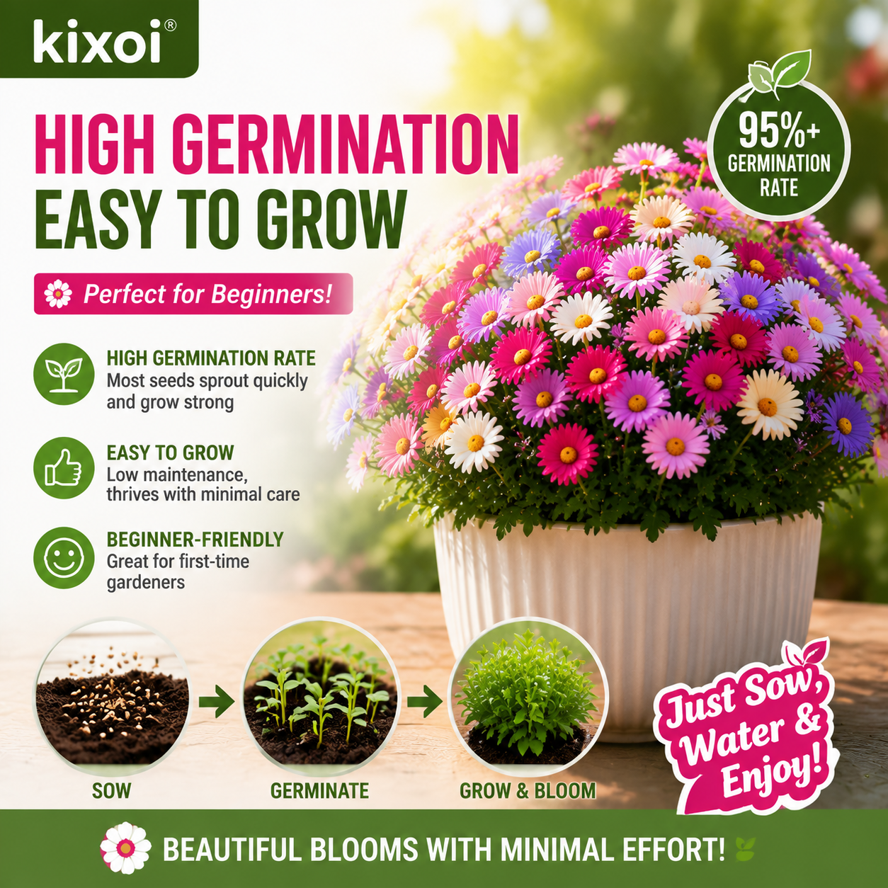 🌸 Pyrethrum Daisy Seeds – Natural Mosquito Repellent, Beautiful Blooms All Season-QE