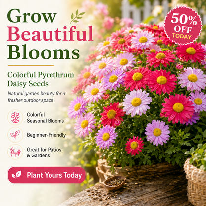 🦟 Natural Mosquito-Repelling Daisy Seeds🌼 – Grow Colorful Flowers for a Fresher Outdoor Space-FX
