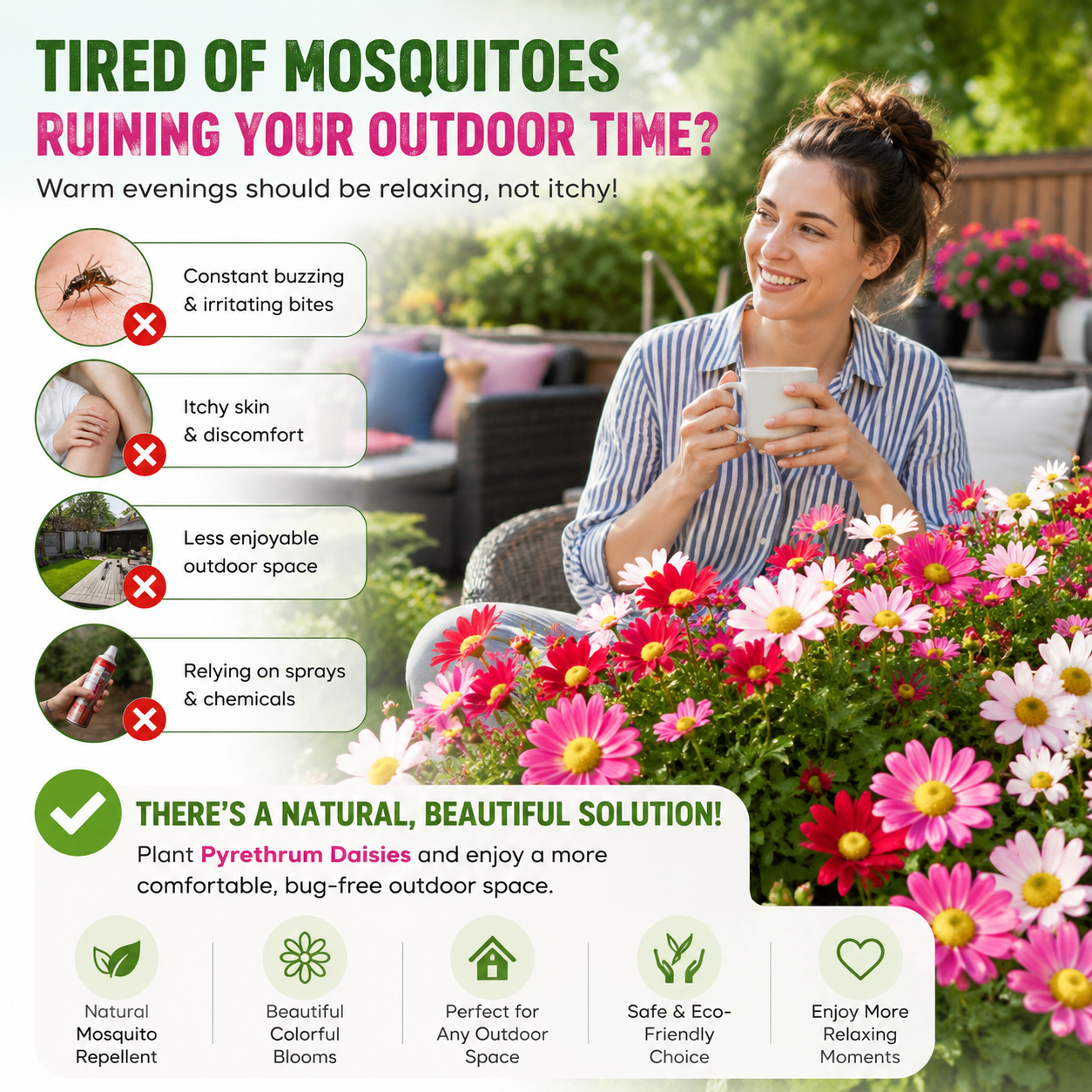 🦟 Natural Mosquito-Repelling Daisy Seeds🌼 – Grow Colorful Flowers for a Fresher Outdoor Space-FX