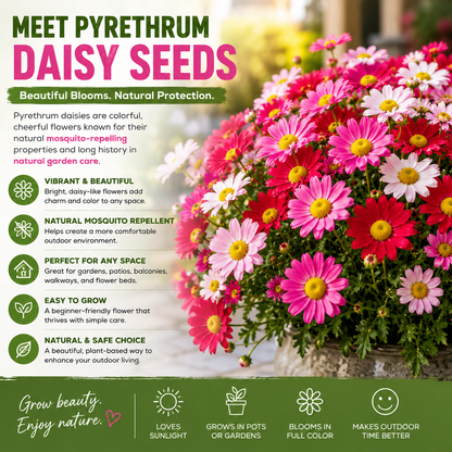 🦟 Natural Mosquito-Repelling Daisy Seeds🌼 – Grow Colorful Flowers for a Fresher Outdoor Space-FX