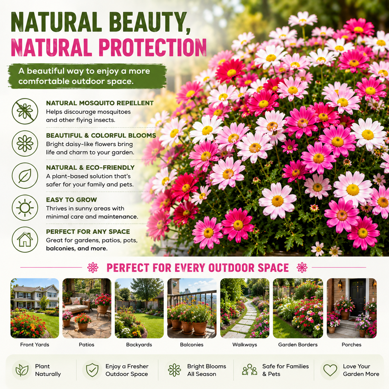 🦟 Natural Mosquito-Repelling Daisy Seeds🌼 – Grow Colorful Flowers for a Fresher Outdoor Space-FX
