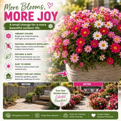 🦟 Natural Mosquito-Repelling Daisy Seeds🌼 – Grow Colorful Flowers for a Fresher Outdoor Space-FX