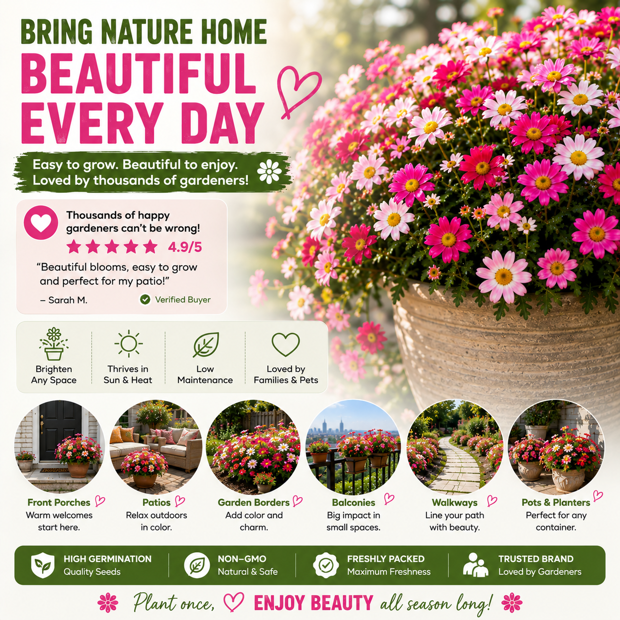 🦟 Natural Mosquito-Repelling Daisy Seeds🌼 – Grow Colorful Flowers for a Fresher Outdoor Space-FX