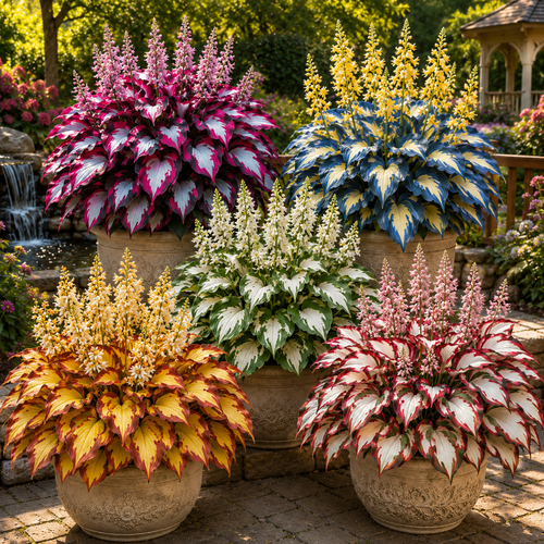 🏠🤗 Discover the Beauty of Colorful Leaf Hosta Seeds – Stunning Foliage, Easy Garden Charm 🌿🍃-QO