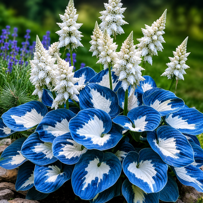 🏠🤗 Discover the Beauty of Colorful Leaf Hosta Seeds – Stunning Foliage, Easy Garden Charm 🌿🍃-QO