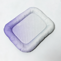 Gradient Purple