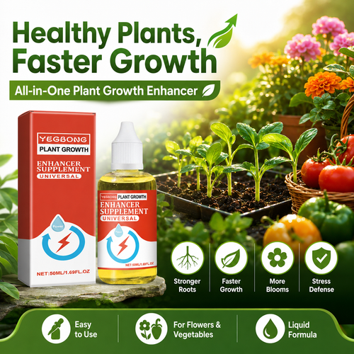 💥This Week Promotion 49% OFF💥 Plant Growth Enhancer Supplement-Q1