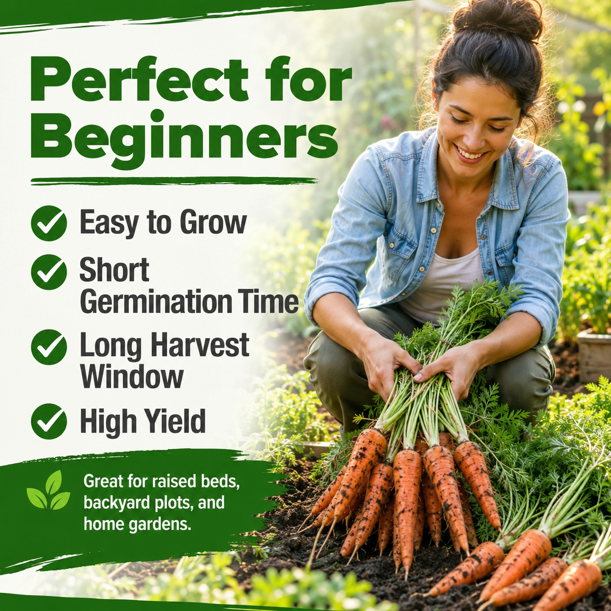 🥕 Sweet Crunch Carrot Seeds – Four-Season Planting for Crisp, Juicy Homegrown Carrots 🌱✨-DW
