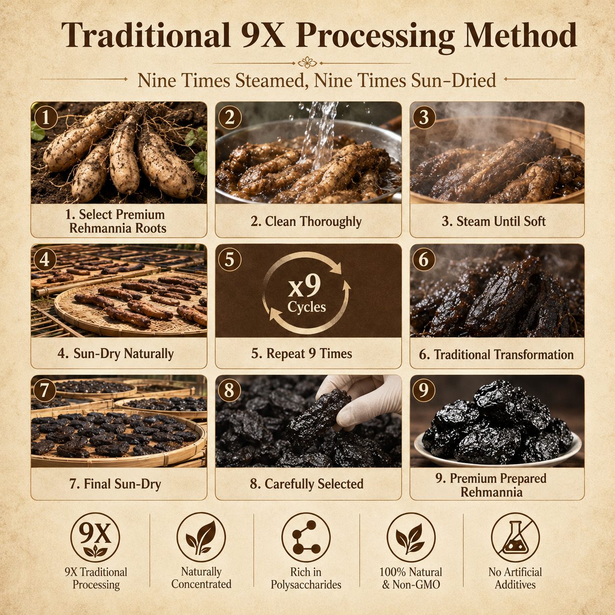 🌿 9X Steamed & Sun-Dried Prepared Rehmannia Root – Traditional Herbal Tonic for Metabolic Balance & Daily Vitality -DW