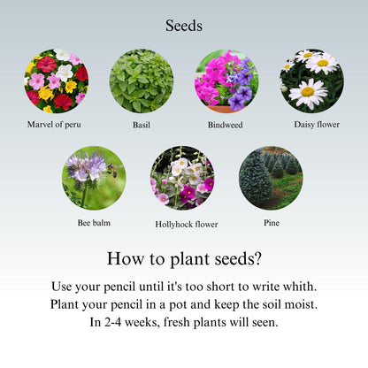 Personalized Seed Pencil with Custom Name | Plantable Wedding Favor | Eco Friendly Party Gift